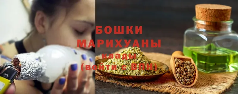 Шишки марихуана THC 21%  Суворов 